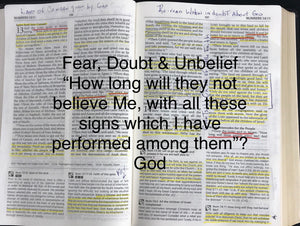 Fear, Doubt & Unbelief; Giants in the promised Land