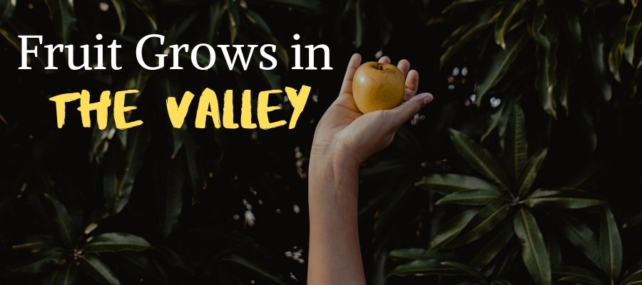Fruit Grows in the Valley